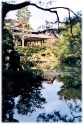 Garden 7, Kyoto Japan
